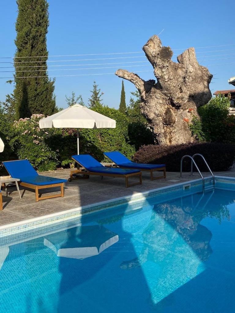 Almond Grove Villa Simou Luaran gambar