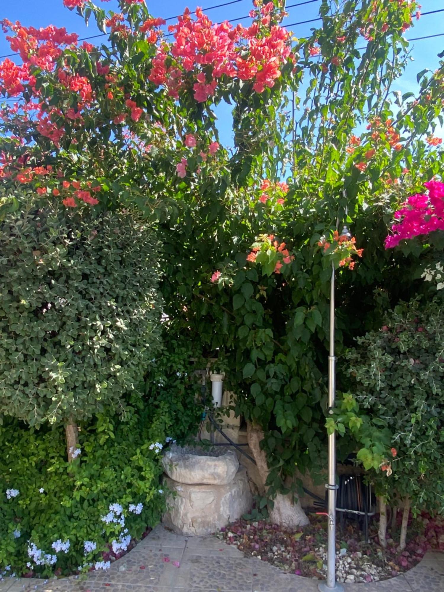 Almond Grove Villa Simou Luaran gambar